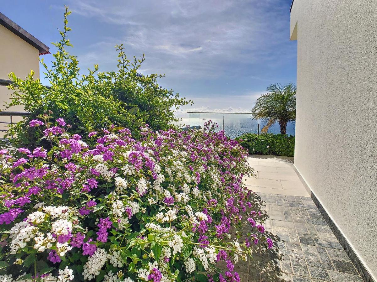 Appartamento Francelho 2 Aparment By Mhm Ribeira Brava Esterno foto
